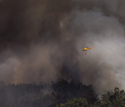 Povoa de Lanhoso, 4 september 2016, Portuguese CS-HMI Civil Protection Firefighter Helicopter Dropping Water on a Fire

