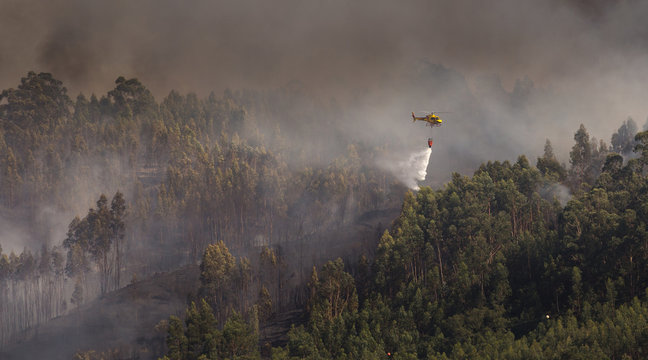 Portuguese CS-HMI Civil Protection Firefighter Helicopter Dropping Water on a Fire 1