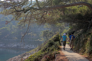 hiking by trees