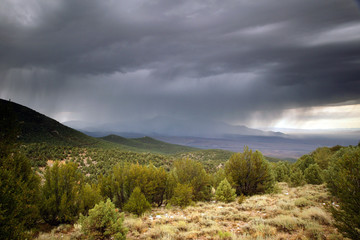rain-sheets n scenic