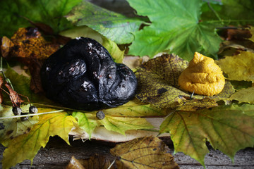 Black pretzel and hummus halloween setting, scarry dish