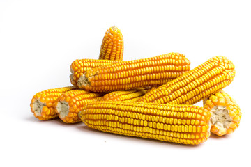 Corn dry white background
