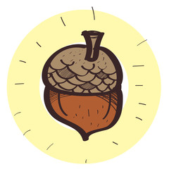 Acorn colored illustration in hand drawing style.