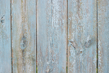 wooden background