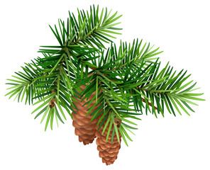 Green fir branch and two cone - 124889224