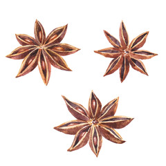 Watercolor set of christmas spice.