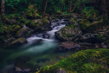 Naklejka na ściany i meble Greyback Creek