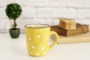 Coffee cup, cappuccino, latte, old books, cookies and bonsai on white table. Gray brick wall. Leisure lifestyle concept. Light rustic background