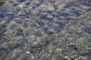 Pebbles brown and black color under the water