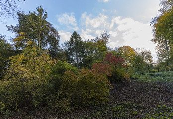 Knoops-Park im Herbstkleid in Bremen