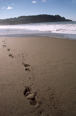 footprints sand
