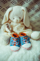 Tiny blue snickers lie before a toy rabbit