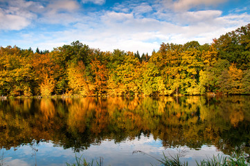Beautiful forest and lake in autumn