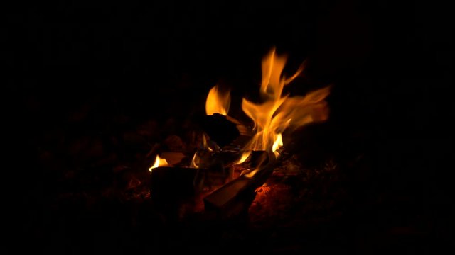 Campfire in the dark