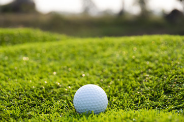 Golf ball on the green