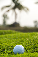Golf ball on the green