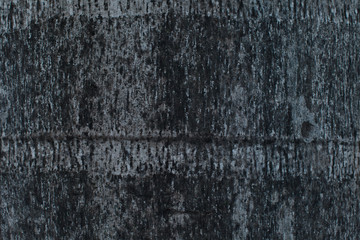 Obraz premium dirty black on coconut tree texture 