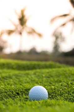 Golf ball on the green