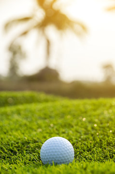 Golf ball on the green