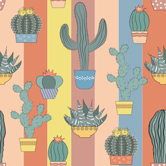 Cacti seamless texture. Succulents, home flowers, houseplants in pots