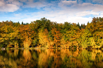 Beautiful forest and lake in autumn