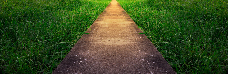 Obraz premium road in countryside