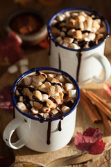s'mores hot chocolate mini marshmallows cinnamon winter drink