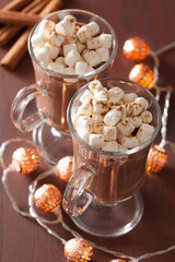 hot chocolate with mini marshmallows cinnamon winter drink