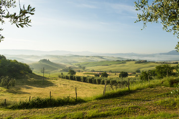 Naklejka premium Natural Tuscany Italy