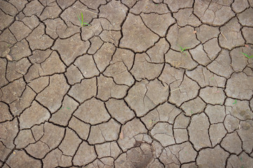 Soil cracked by the scorching sun