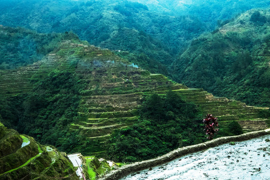 Amazing panorama view of rice terraces fields in Ifugao province mountains under cloudy blue sky. Banaue, Philippines UNESCO heritage
