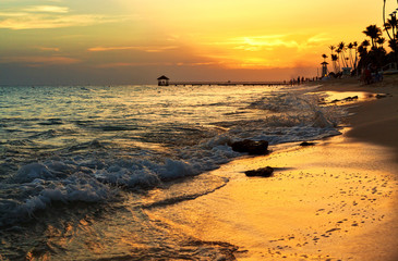 Caribbean sea beach sunset with palm trees.