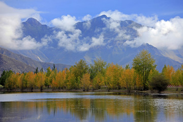 foliage trees reflection n fog mtns