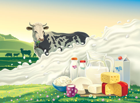 Cow, and splash of milk and set of dairy products: cheese, milk, yogurt, against the background of a rural landscape. Vector illustration.