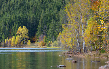 Autumn  with the yellow foliage, reflected in Lake