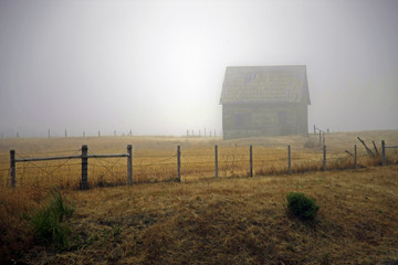 barn n fence in fog © danheller