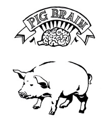 Pig brain hand drawn illustration. Art and conceptual metaphor