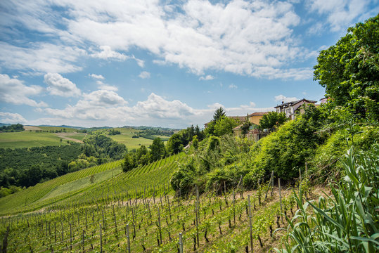 Piemonte - Le Langhe terre di castelli e vino 