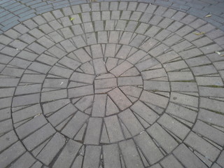 The fragment of a pavement in the form of a circle.