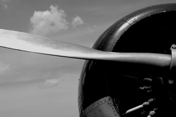 Aircraft Propeller Black and White