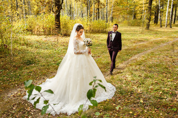 Wedding autumn. Bride and groom walking in the yellow amnal forest after their wedding ceremony