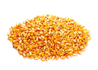 pile organic corn grain isolated on white background