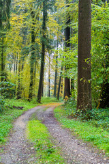 Natur mir Farbe und Aussicht