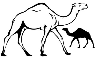 camel black and white vector design and silhouette