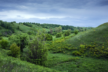 Obraz premium Green valley with a ravine