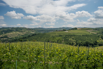 Fototapeta premium Piemonte - Le Langhe terre di castelli e vino 