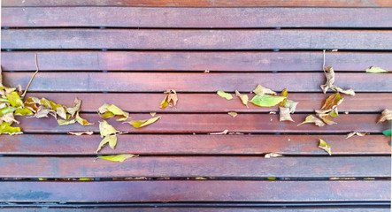 Fototapeta premium Bench in autumn park