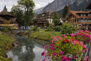 flowers n river