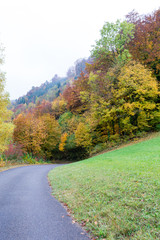 Naklejka premium Natur mir Farbe und Aussicht
