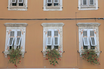 windows n flowers